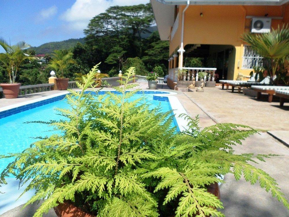 Albizia Lodge Green Estate Pointe Au Sel Exteriér fotografie